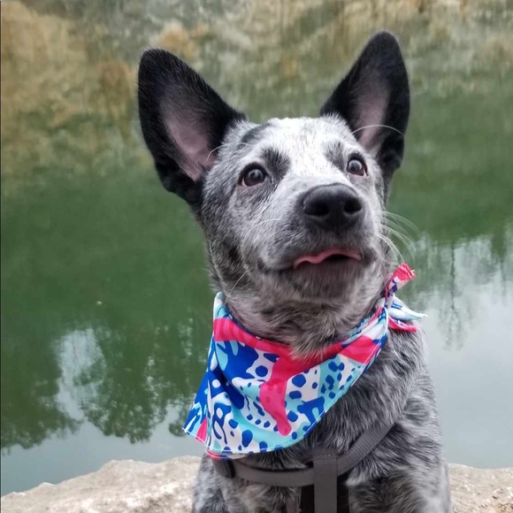 Meet your Poshers, Ruth and Benji! - Picture 1 of 2